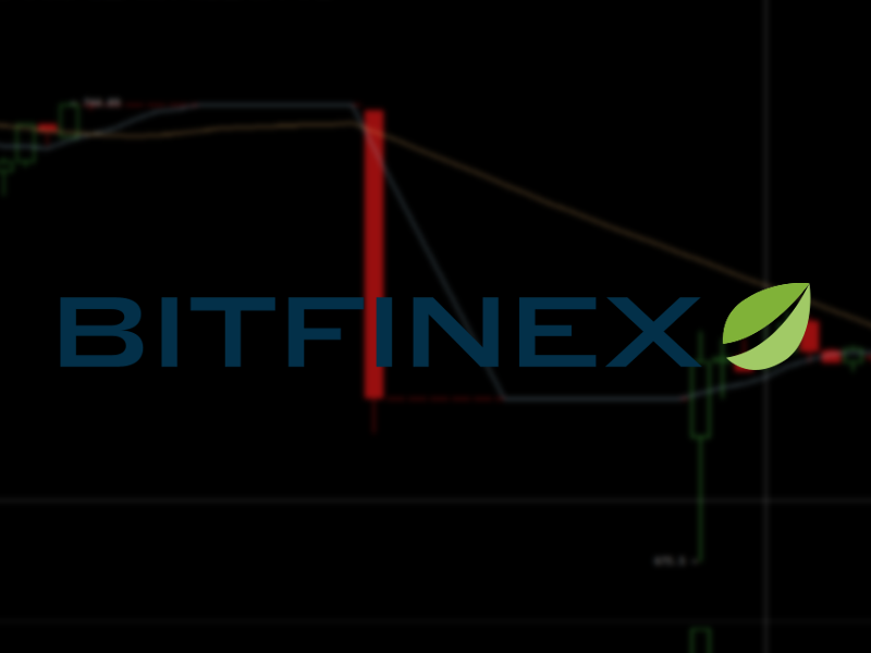 bitfinexoutagesplash.png